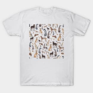 Greyhounds, Wippets and Lurcher Dogs! T-Shirt